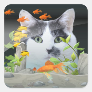 Pegatina Cuadrada Gato fotográfico personalizado mirando en un tanq