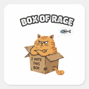 Pegatina Cuadrada Gato Gruñón Divertido Caja de Ira Odio Esta Ca