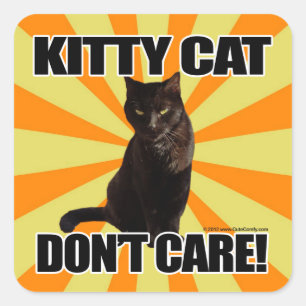 Pegatina Cuadrada Gato Kitty No Te Importa