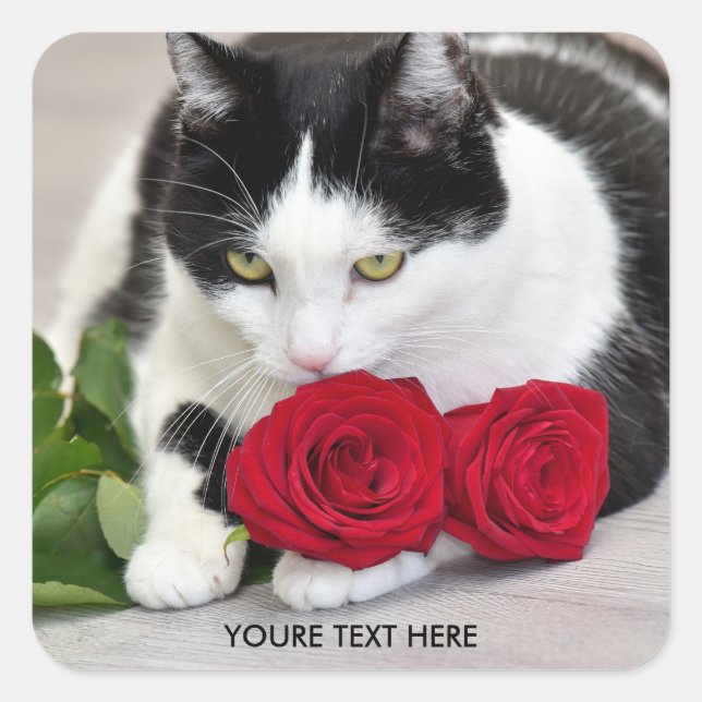 Pegatina Cuadrada Gato lindo con el rosa rojo (Anverso)
