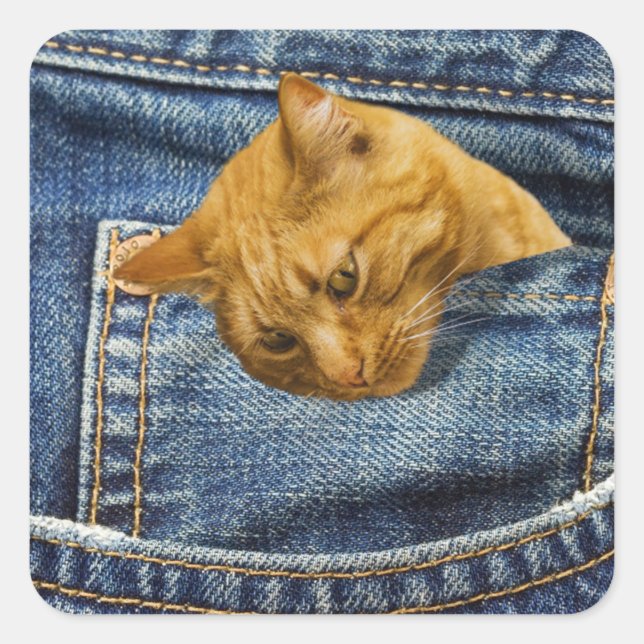 Pegatina Cuadrada Gato lindo en jeans ilusión graciosa de bolsillo (Anverso)
