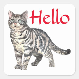 Pegatina Cuadrada Gato Lindo Hola Tigre Gatito Minino Pensando en Ti