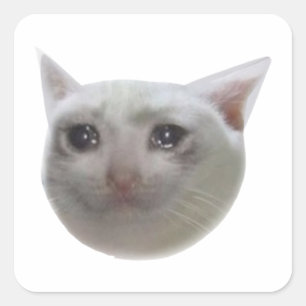 Pegatina Cuadrada Gato meme de llanto