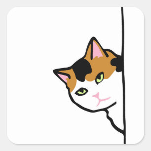 Pegatina Cuadrada Gato Minino