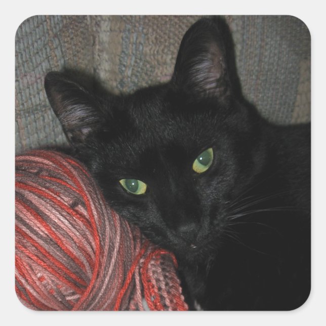 Pegatina Cuadrada Gato negro de Halloween (Anverso)