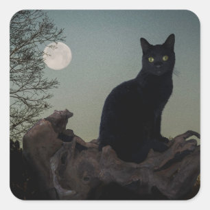 Pegatina Cuadrada Gato negro en un árbol frente a una luna llena