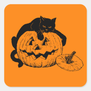 Pegatina Cuadrada Gato negro que descansa encima de una calabaza