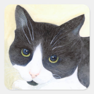 Pegatina Cuadrada Gato negro y blanco