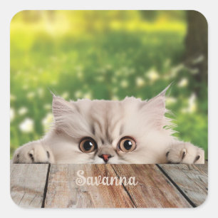 Pegatina Cuadrada Gato persa lindo