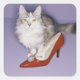 Pegatina Cuadrada Gato pisando tacón alto