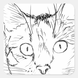 Pegatina Cuadrada Gato Puddy