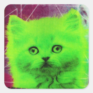 Pegatina Cuadrada gato radiactivo