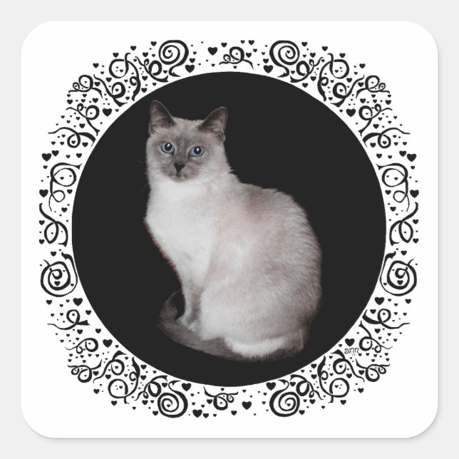 Pegatina Cuadrada Gato siamés con ojos azules (Anverso)