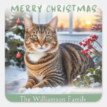 Gato Tabby Festivo En Nieve Animal Lindo Navidad