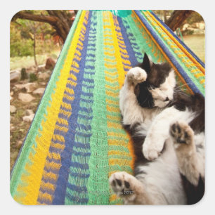 Pegatina Cuadrada Gato tendido en hamaca maya mexicana