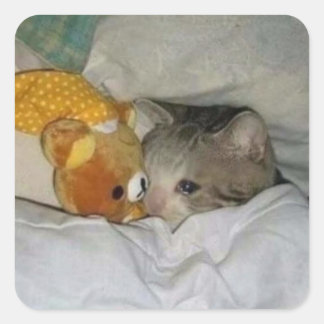 Pegatina Cuadrada gato triste en la cama