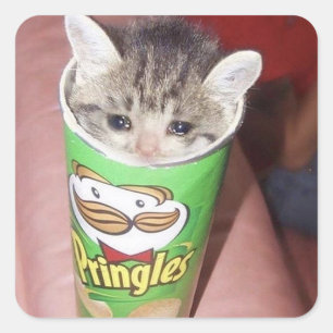 Pegatina Cuadrada gato triste en pringles puede