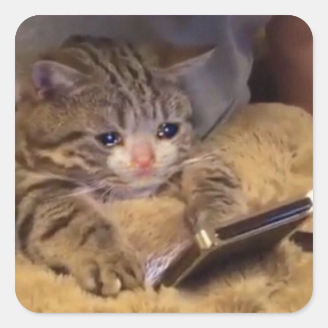 Pegatina Cuadrada gato triste por teléfono (Anverso)