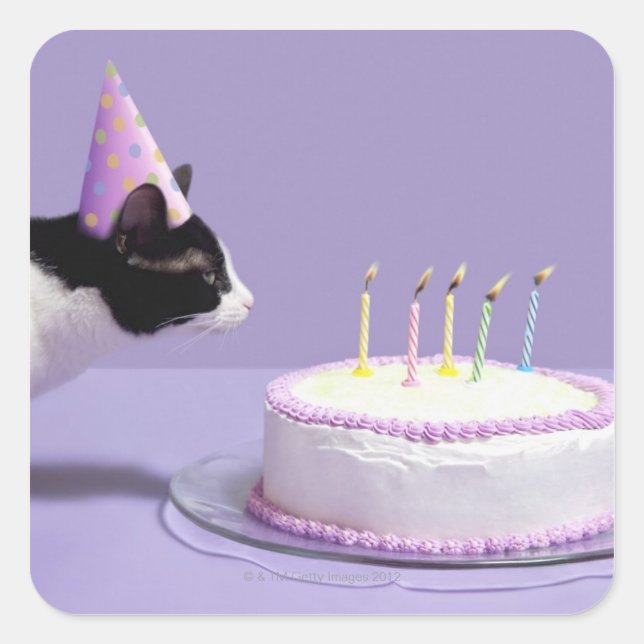 Pegatina Cuadrada Gato usando gorra de cumpleaños soplando velas (Anverso)