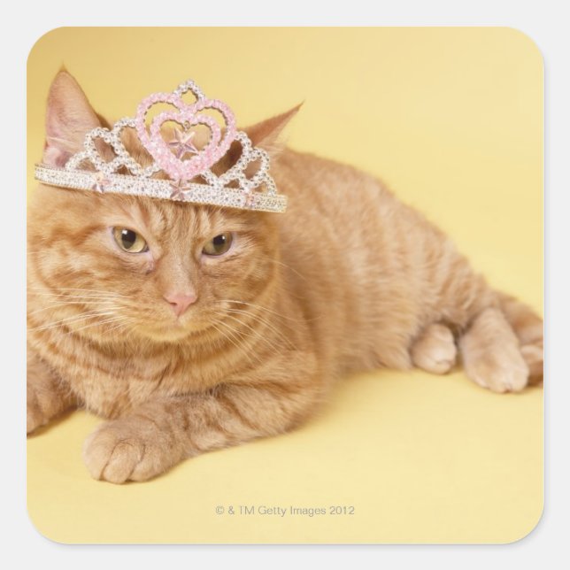 Pegatina Cuadrada Gato usando tiara (Anverso)