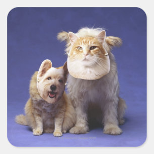 Pegatina Cuadrada Gato y perro con máscaras