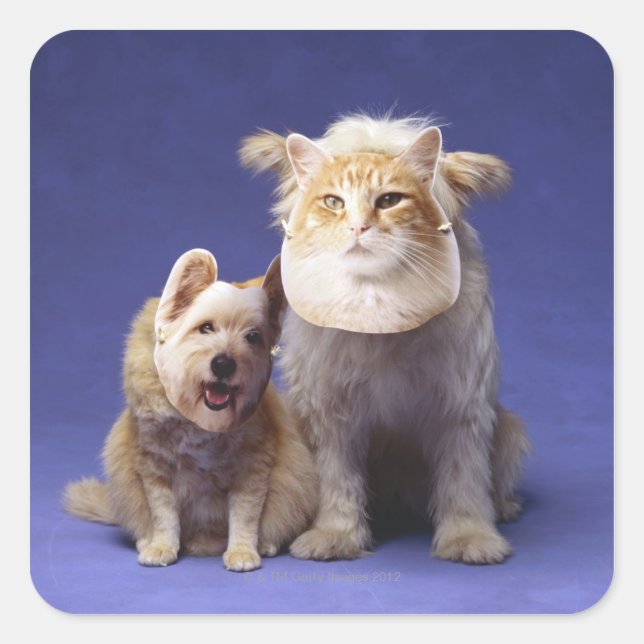 Pegatina Cuadrada Gato y perro con máscaras (Anverso)