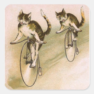 Pegatina Cuadrada Gatos antiguos en bicicletas