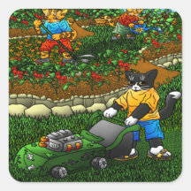 Gatos de jardinería de verano