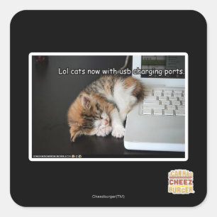 Pegatina Cuadrada Gatos de Lol con USB