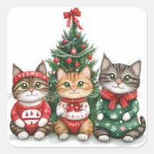 Gatos de Navidades cortos