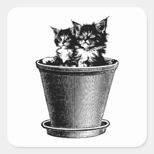 Pegatina Cuadrada Gatos Gatitos En Flor Leche Mascotas Animales Arte