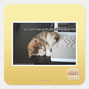 Pegatina Cuadrada Gatos lol con USB