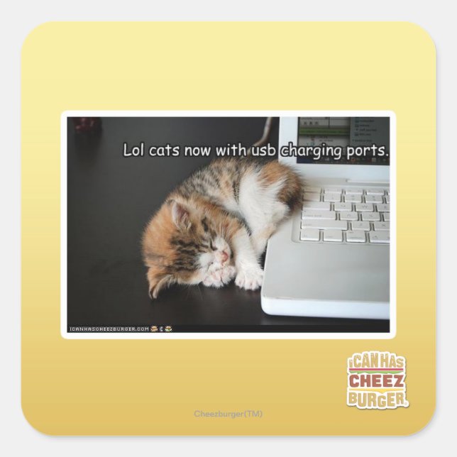 Pegatina Cuadrada Gatos lol con USB (Anverso)