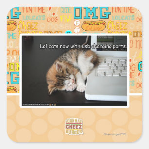 Pegatina Cuadrada Gatos lol con USB