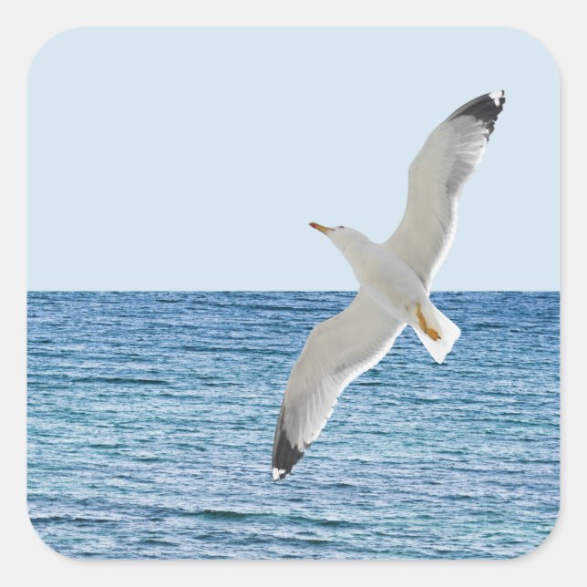 Pegatina Cuadrada Gaviota volando sobre el mar (Anverso)