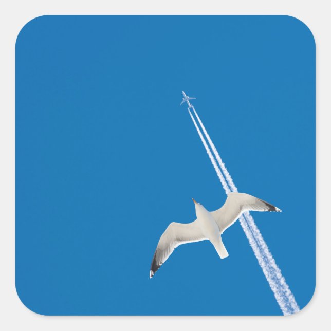 Pegatina Cuadrada Gaviota y avión (Anverso)
