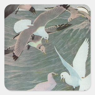 Pegatina Cuadrada Gaviotas sobre olas del océano por Louis Agassiz F