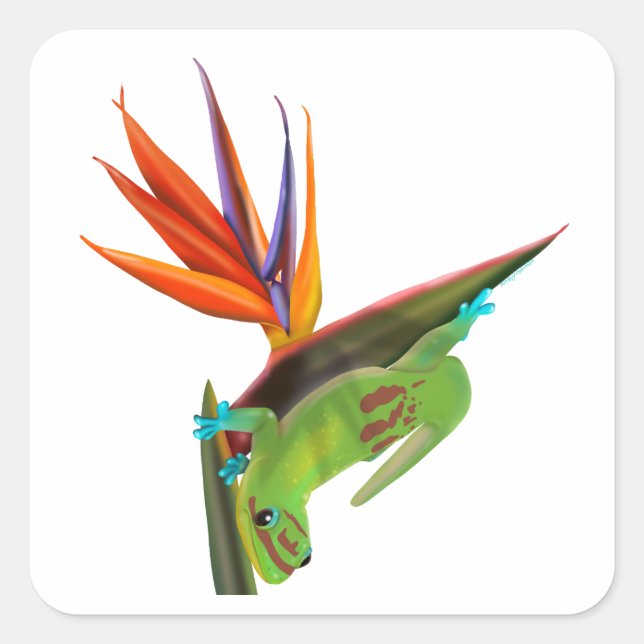 Pegatina Cuadrada Gecko del día sobre el pájaro del paraíso (Anverso)