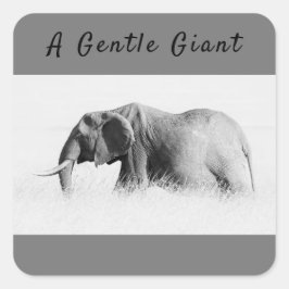 Pegatina Cuadrada Gentle Giant Elephant foto de alta clave con texto