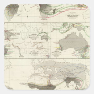 Pegatina Cuadrada Geografía zoológica