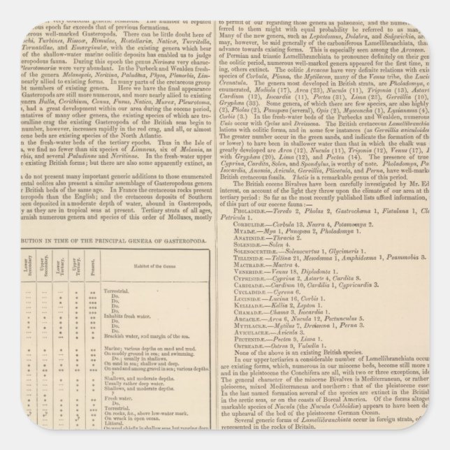 Pegatina Cuadrada Geología y Paleontología de las Islas Británicas (Anverso)