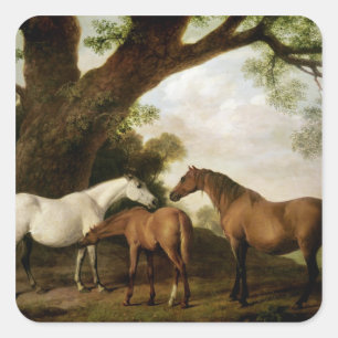 Pegatina Cuadrada George Stubbs   Dos Shafto Mares y un Foal, 1774