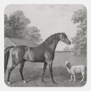 Pegatina Cuadrada George Stubbs   Dungannon, grabado por George Town