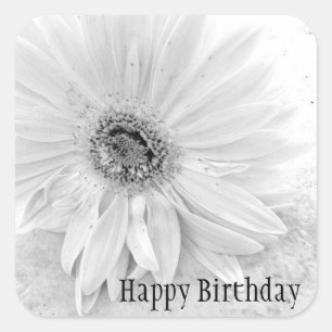 Pegatina Cuadrada Gerber Daisy En Blanco Y Negro Feliz Cumpleaños
