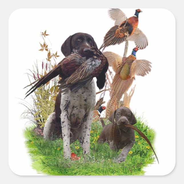 Pegatina Cuadrada German Shorthaired Pointer    Sticker (Anverso)