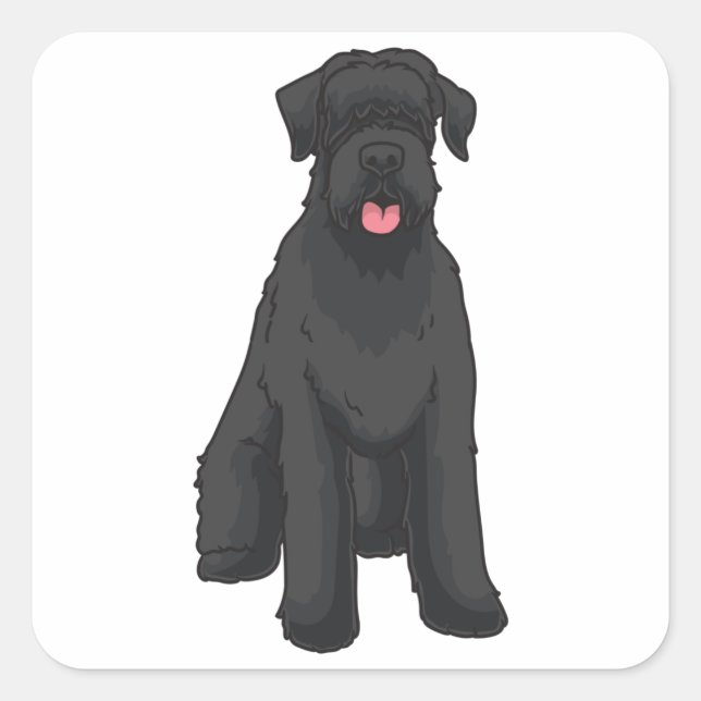 Pegatina Cuadrada Giant Schnauzer (Anverso)