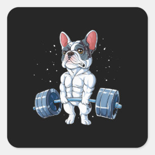 Pegatina Cuadrada Gimnasio de levantamiento de pesas de Bulldog fran