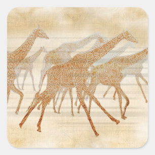 Pegatina Cuadrada Girafas en funcionamiento