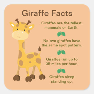 Pegatina Cuadrada Giraffe Facts