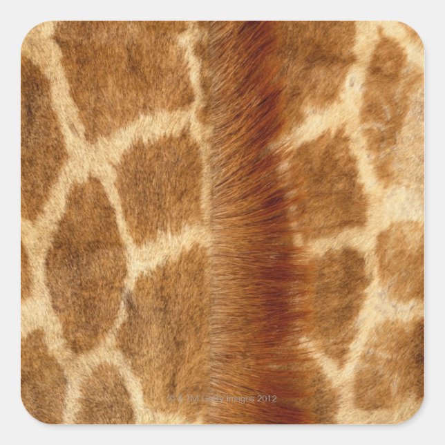 Pegatina Cuadrada Giraffe Fur (Anverso)